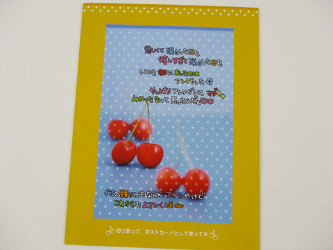 Rare ❤︎ Vintage *ੈ✩‧₊˚ Collectible - Cute Kawaii DIY Cherries Postcard